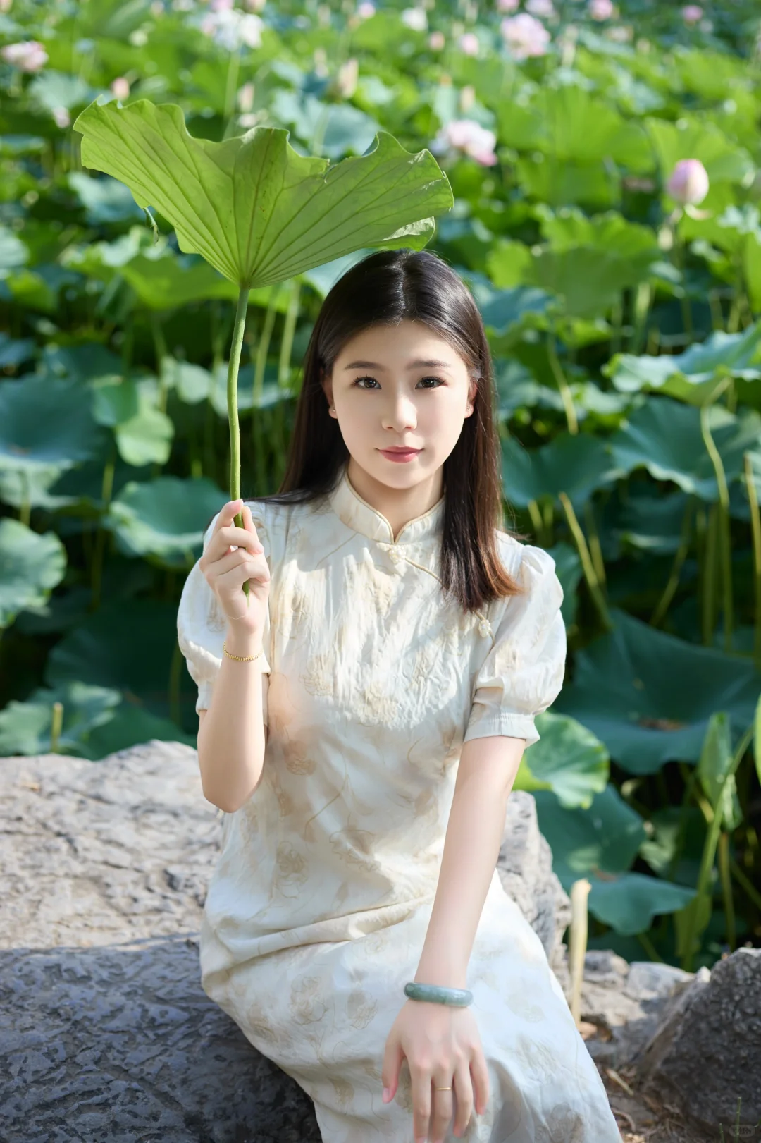 总要去次荷花池拍夏天吧～
