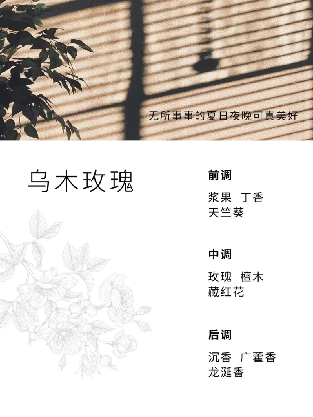 还原仲夏夜晚的味道！