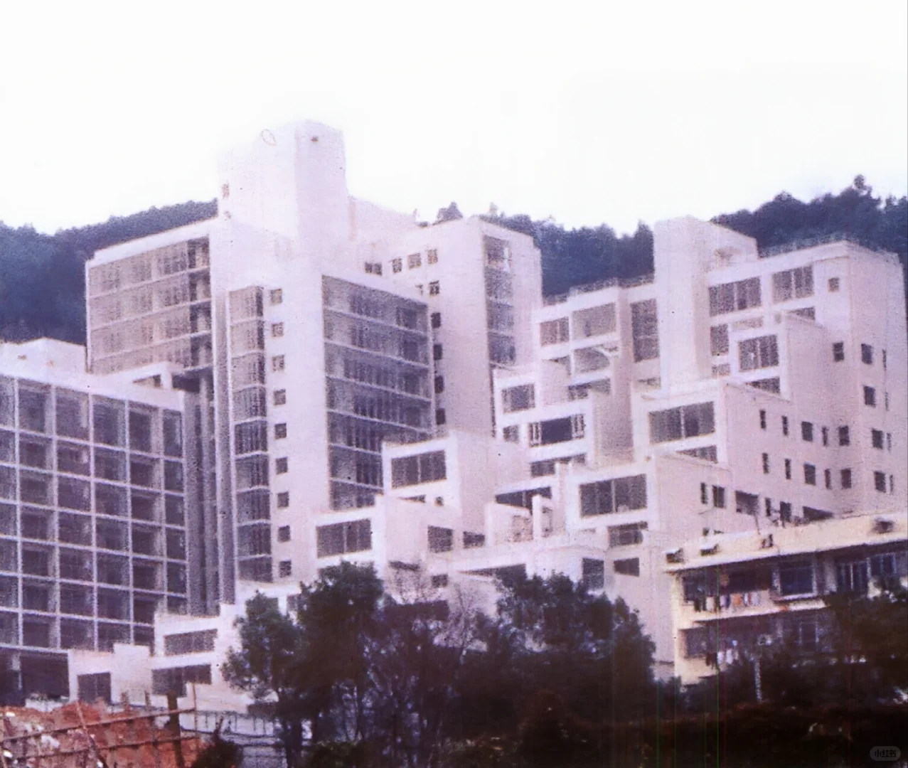 有意思的设计，深圳90年代白色住宅