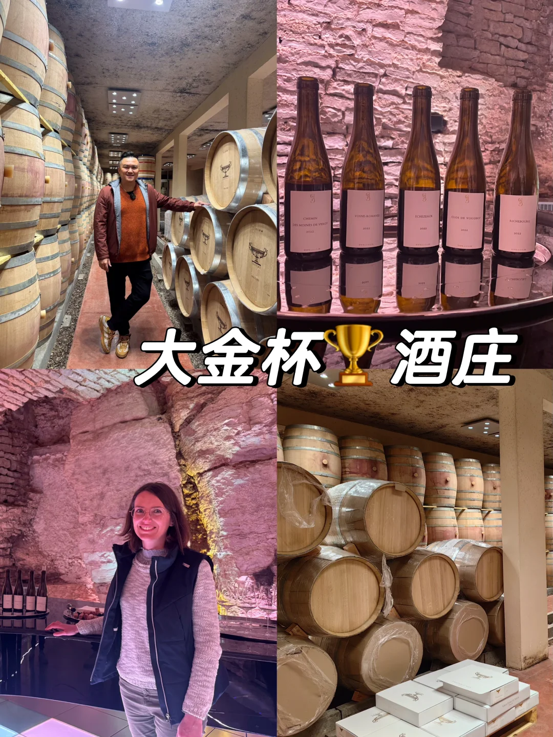 与罗曼尼康帝同村的大金杯🏆酒庄🔥