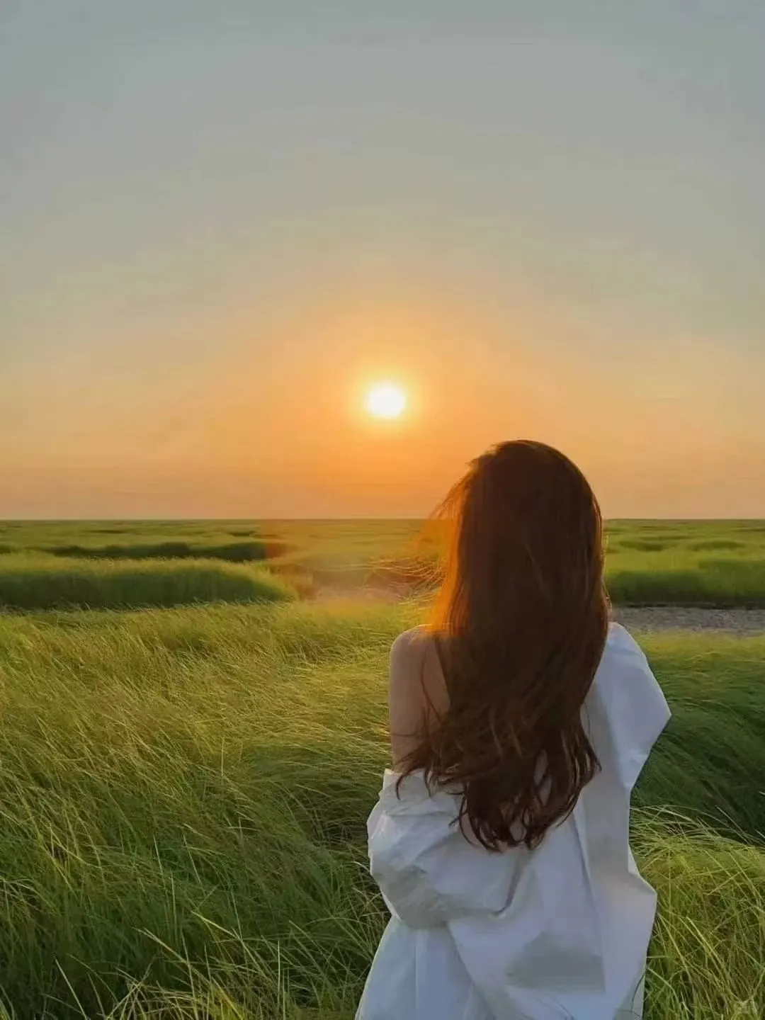 治愈温柔女头❤今天比昨天好 这就是希望☀