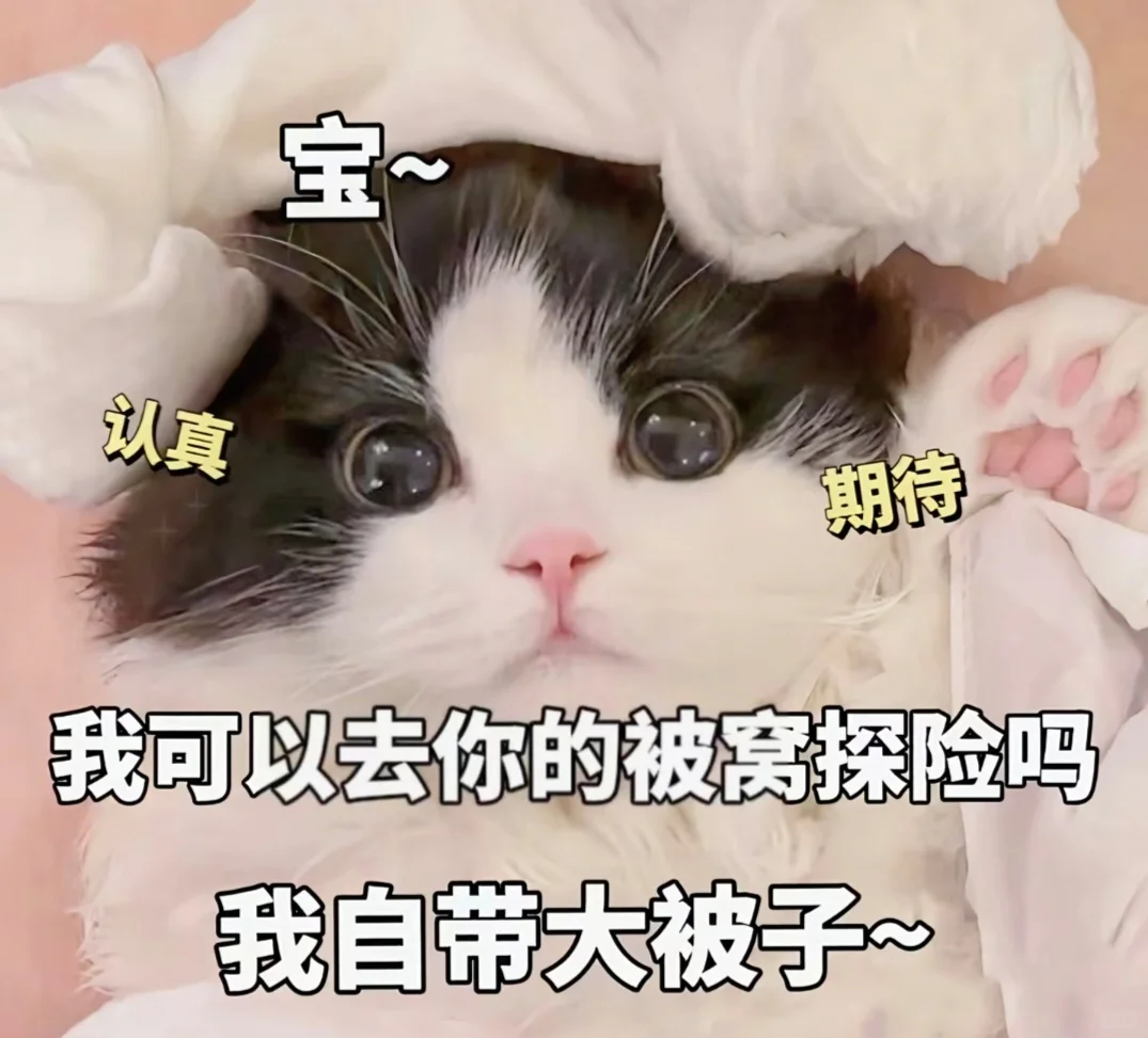 🔥「撩拨感」拿捏死死的