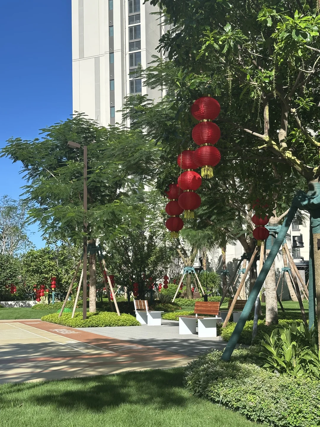 景观 ❤️