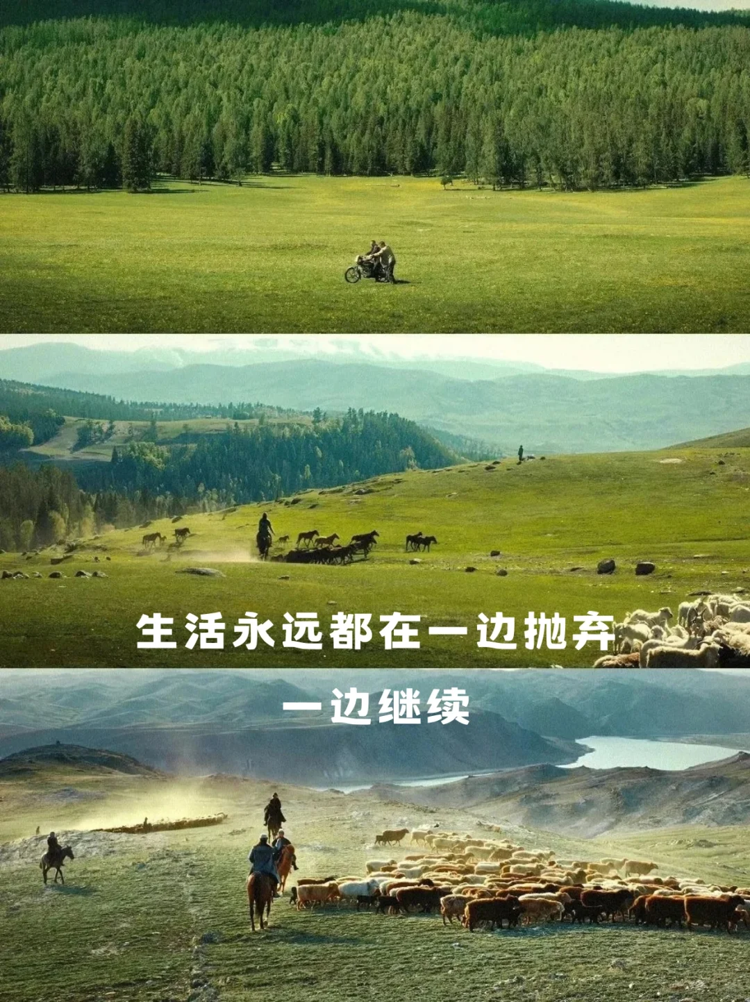 好想在我的阿勒泰里睡懒觉！她的文字也好绝