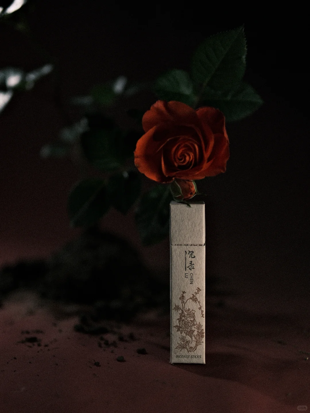 是无法忘记的🌹玫瑰啊❤️