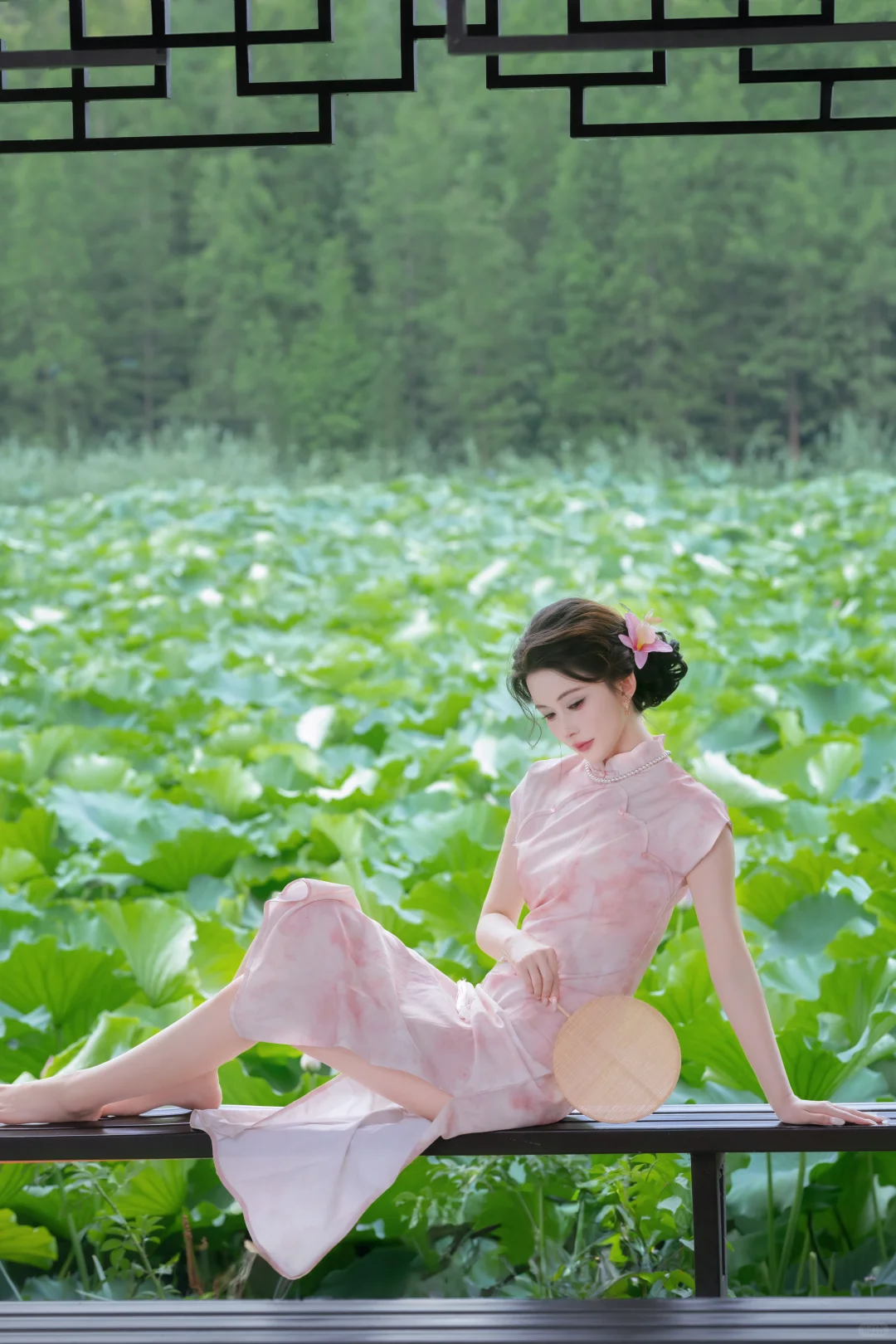 学会这几个动作❗旗袍荷花写真保准出片～