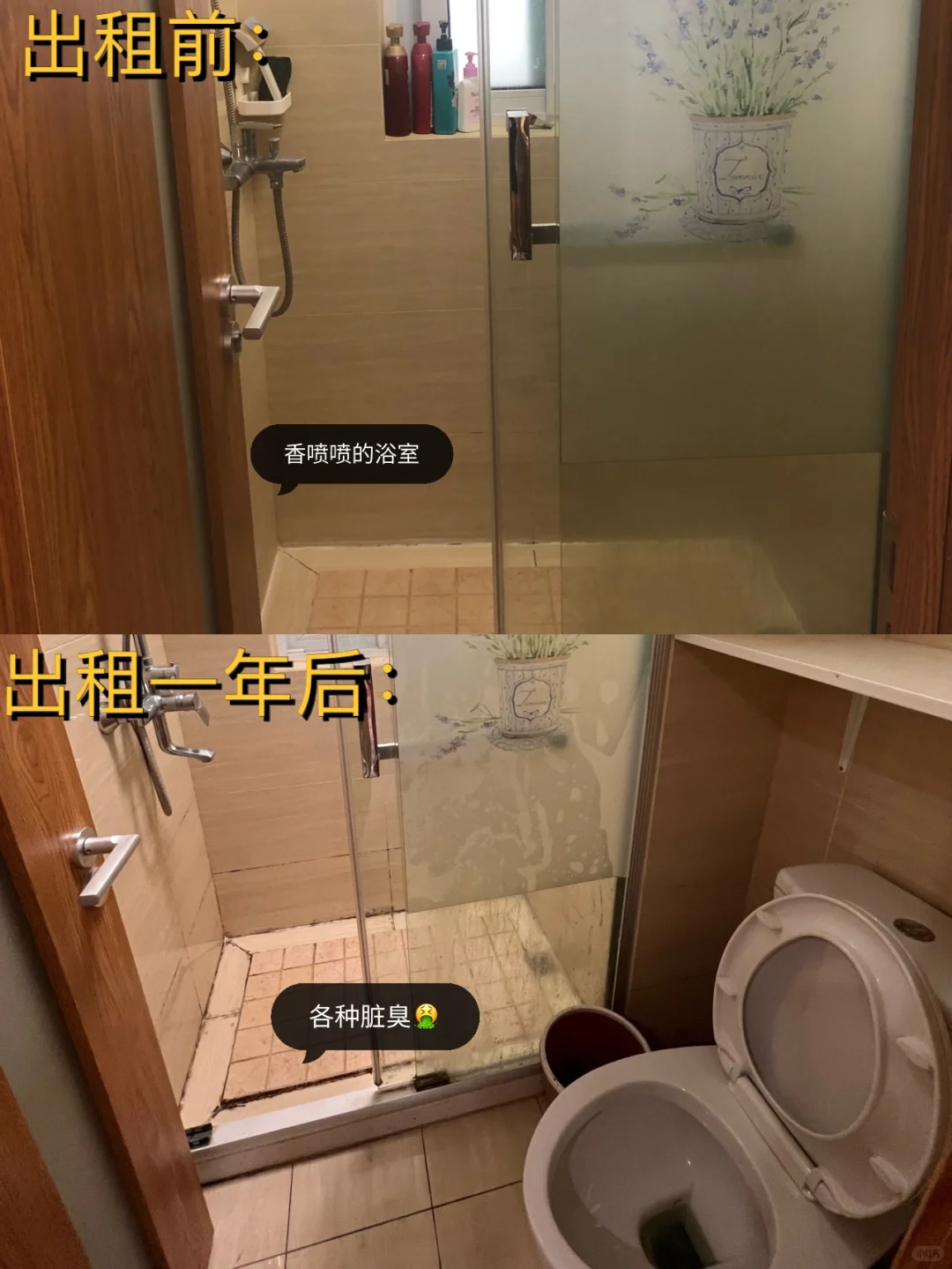 社会新闻照进现实📰新房出租一年被搬空😂