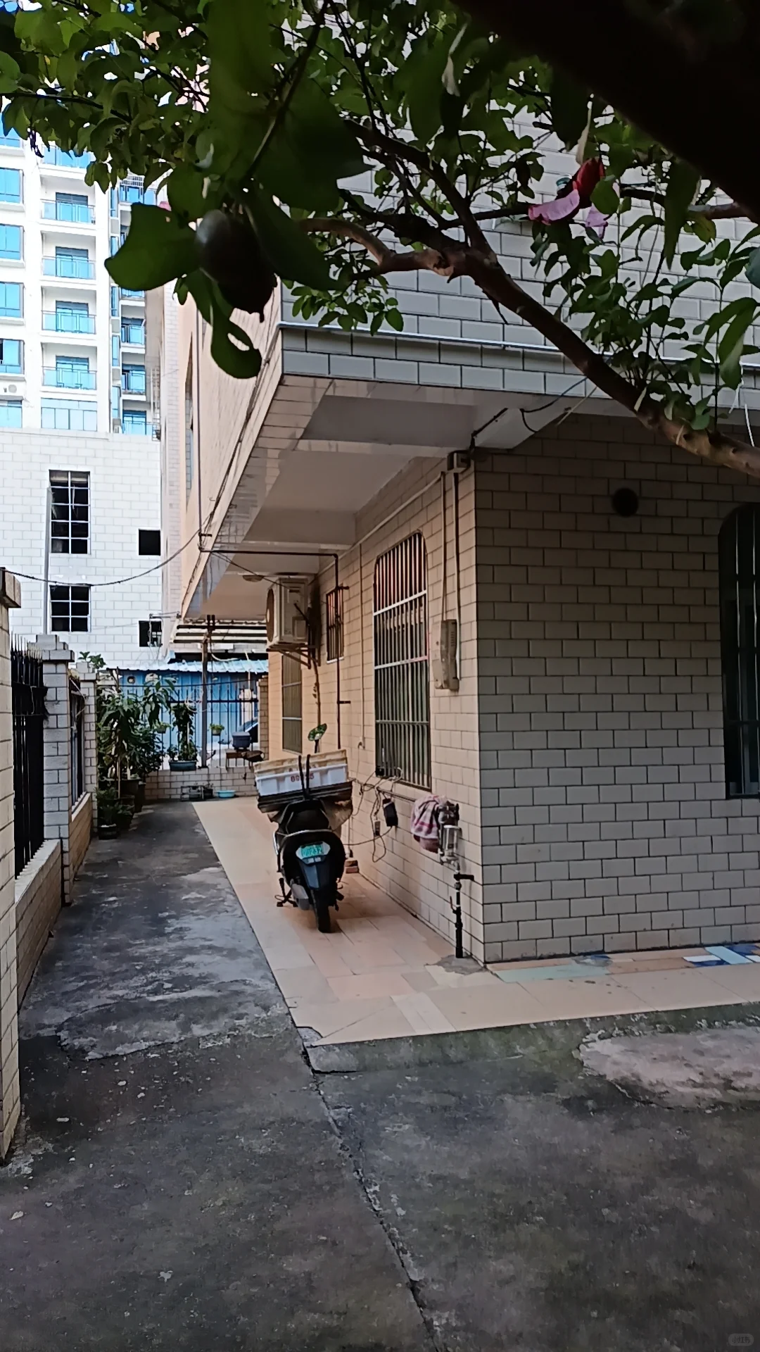 北海市区带花园自建房✨房东直售
