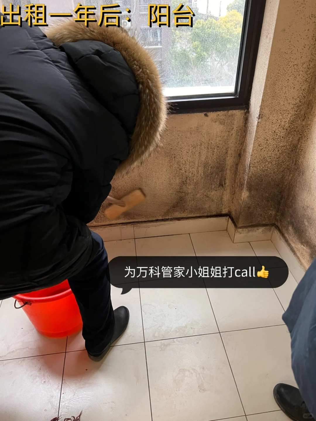 社会新闻照进现实📰新房出租一年被搬空😂