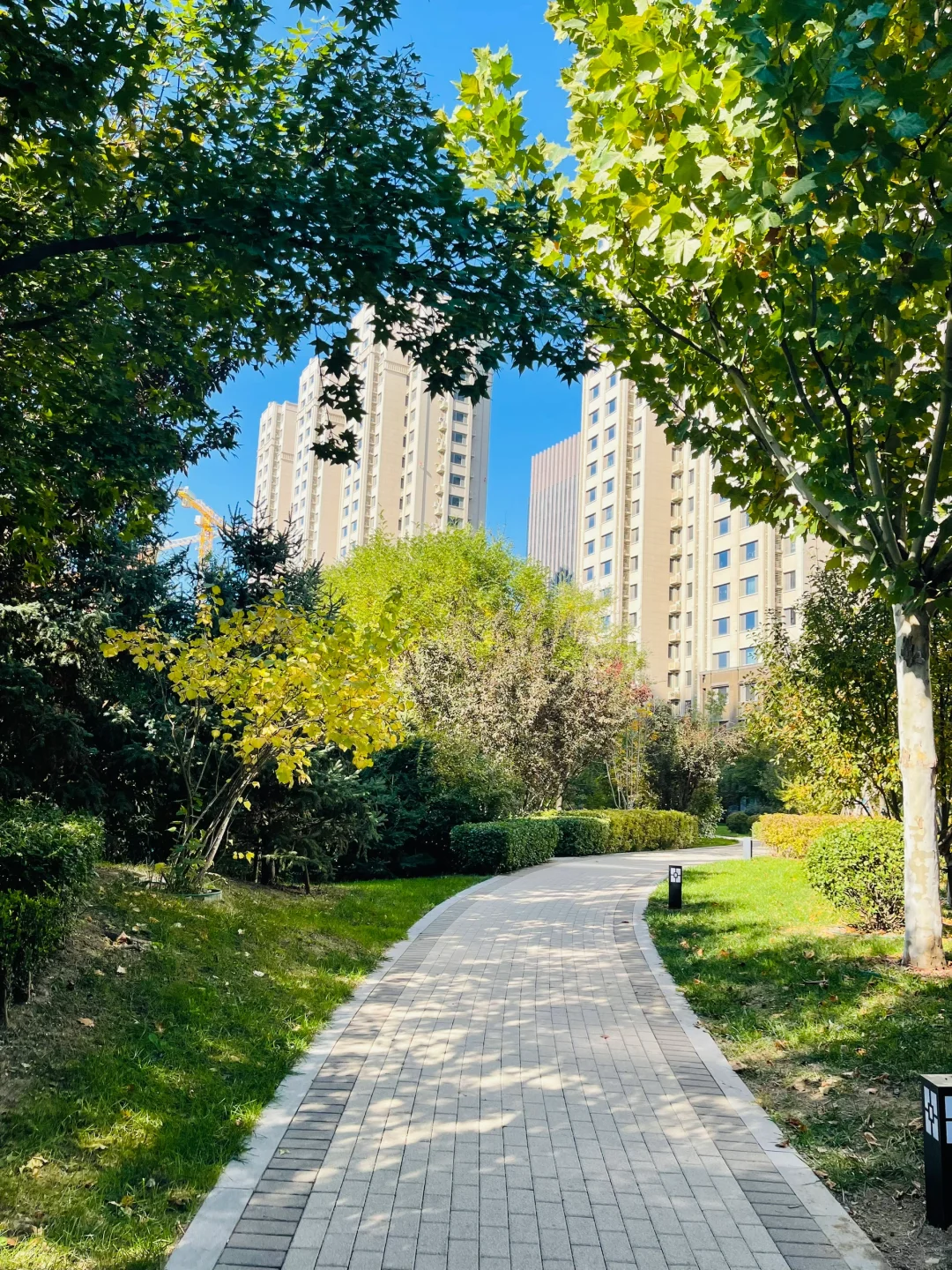 风景秀丽、宜人！