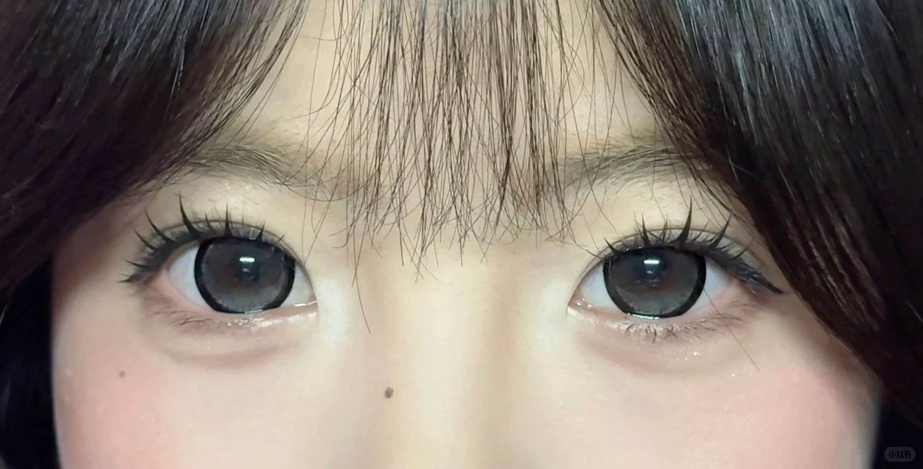大直径的神！这也太美了