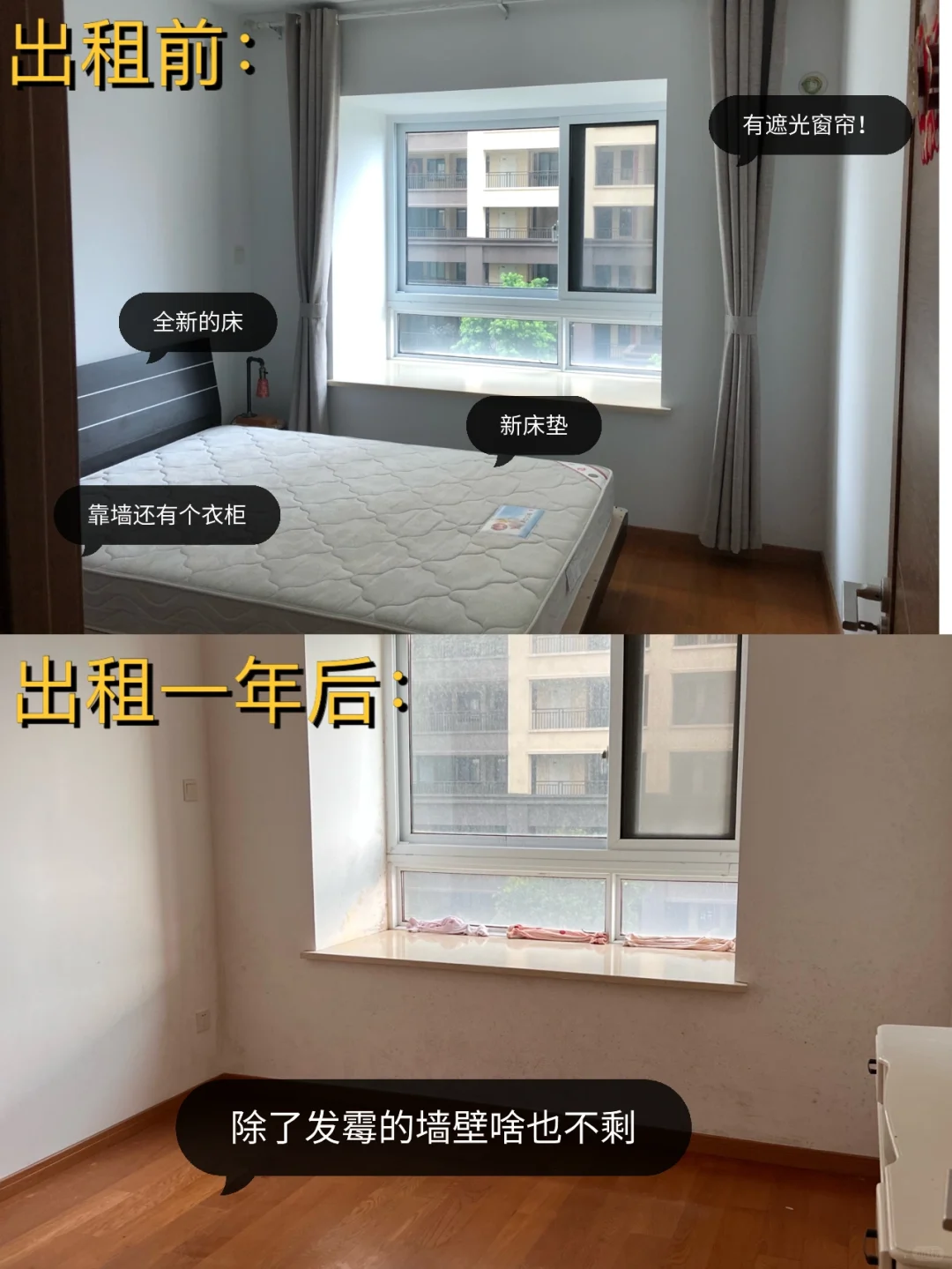 社会新闻照进现实📰新房出租一年被搬空😂