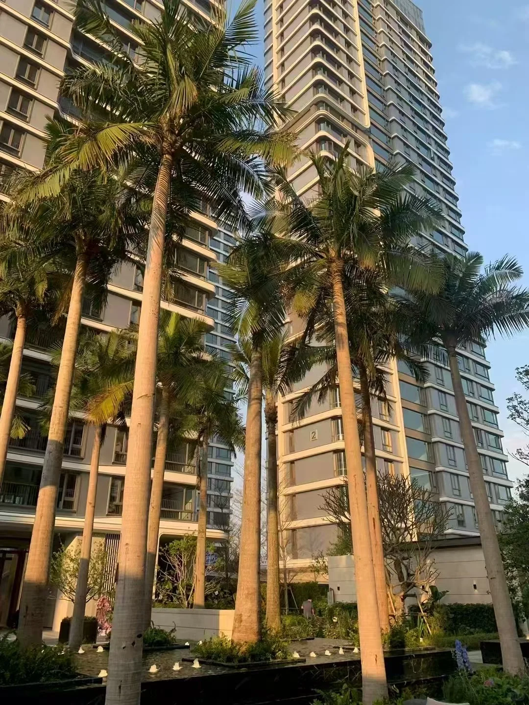 一眼就爱上的房子🏠