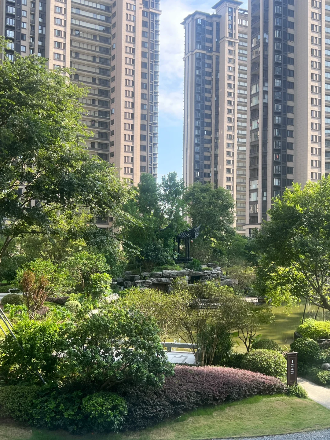 🏡买在2楼，🌲都长在我家窗户边了