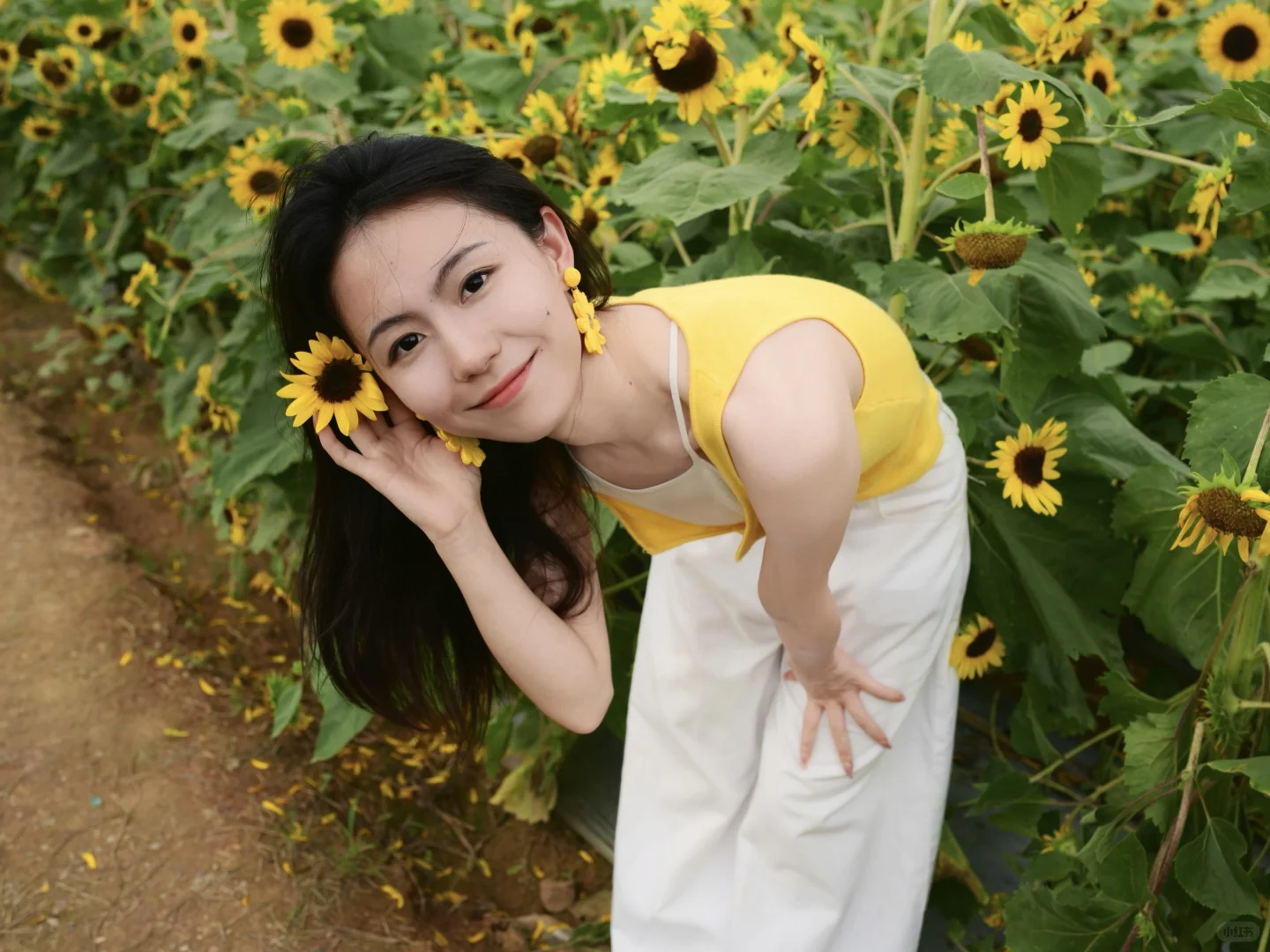 夏天是明艳动人的黄色🌻