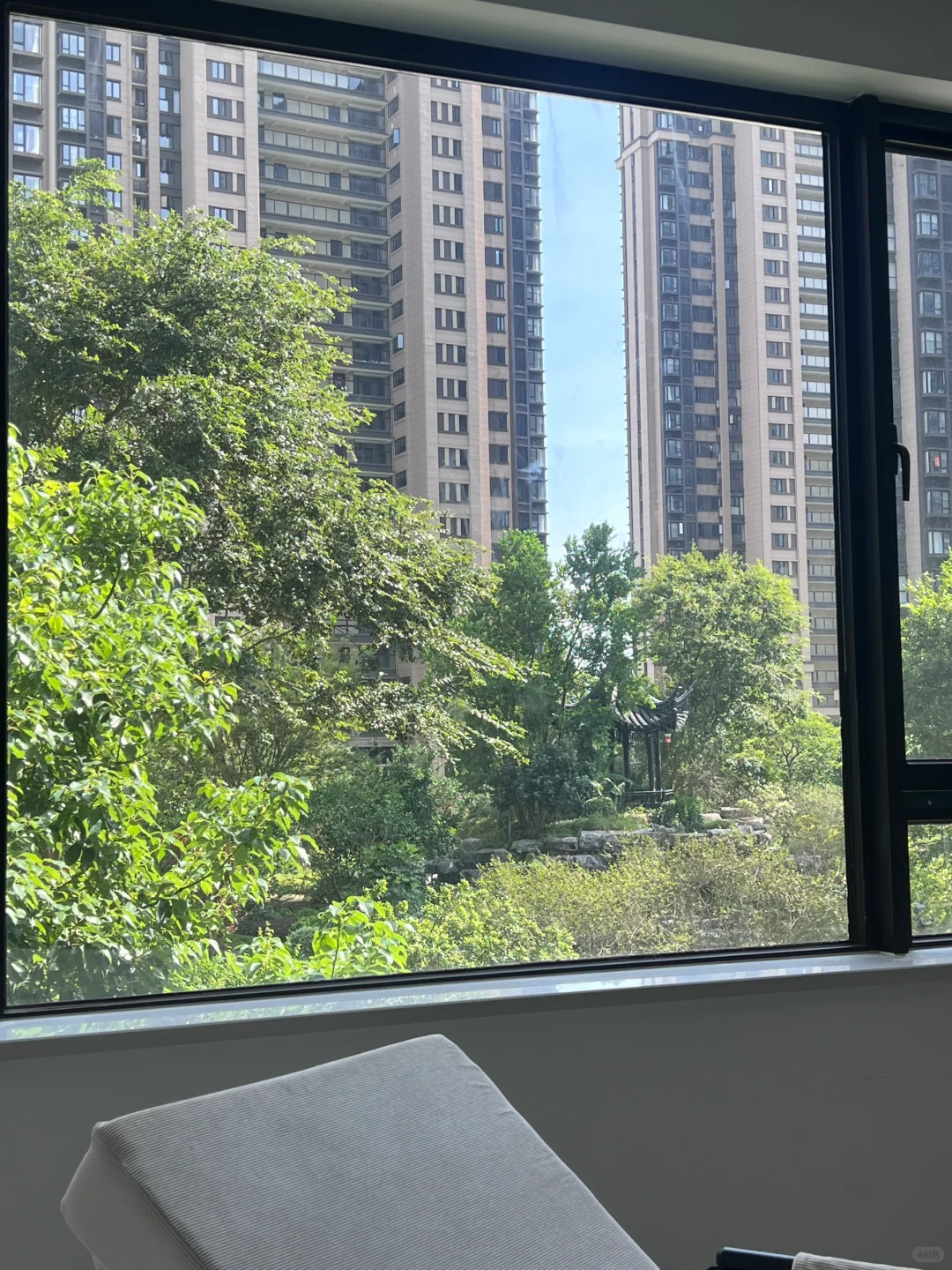 🏡买在2楼，🌲都长在我家窗户边了