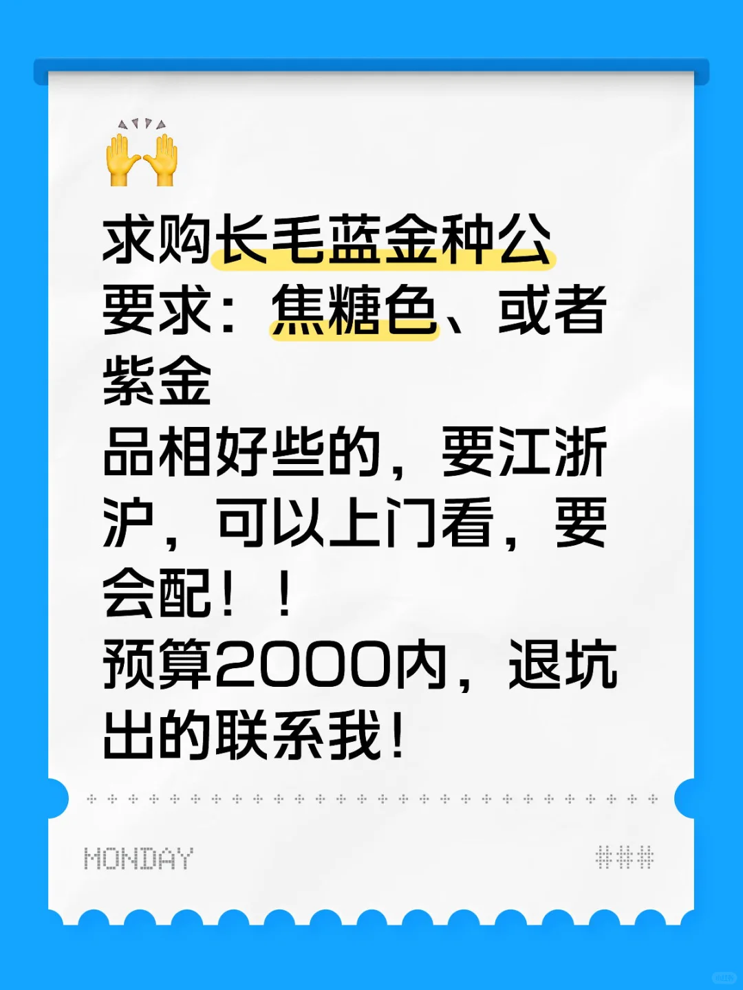 求购长毛蓝金种公，会配的！