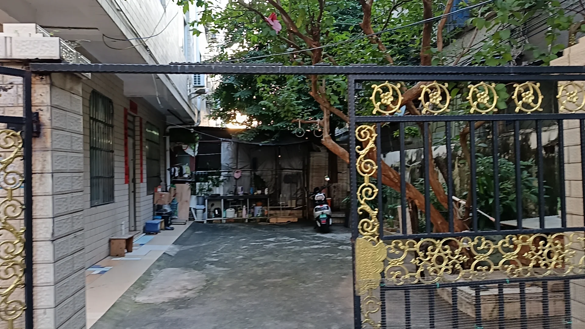 北海市区带花园自建房✨房东直售