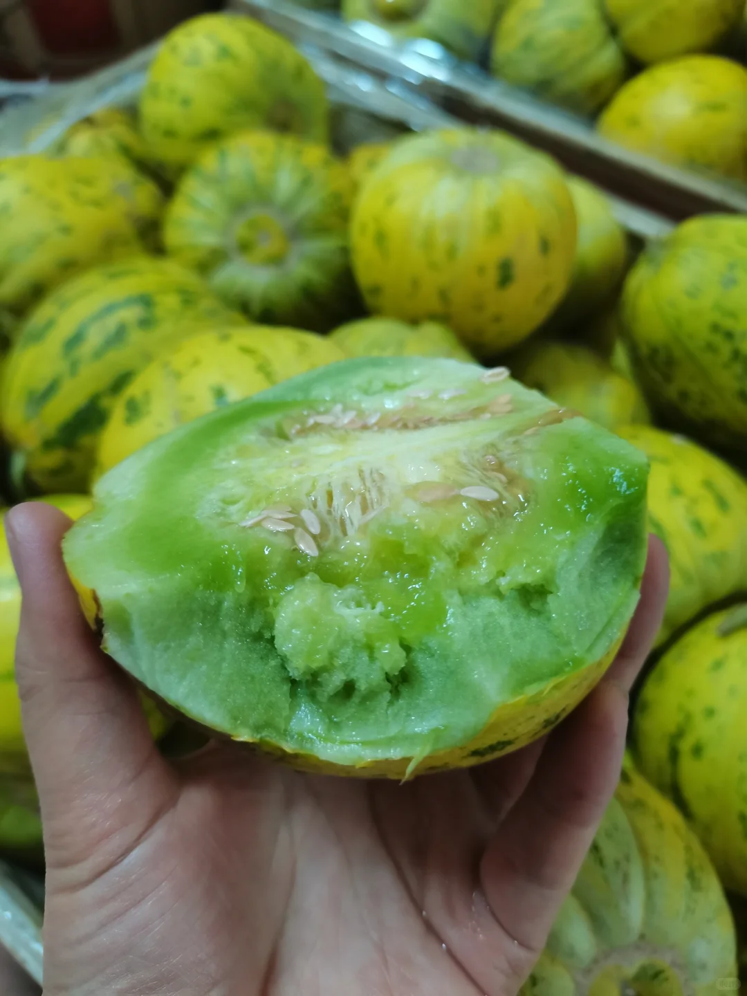 🍉东北八里香瓜香甜可口诱人！