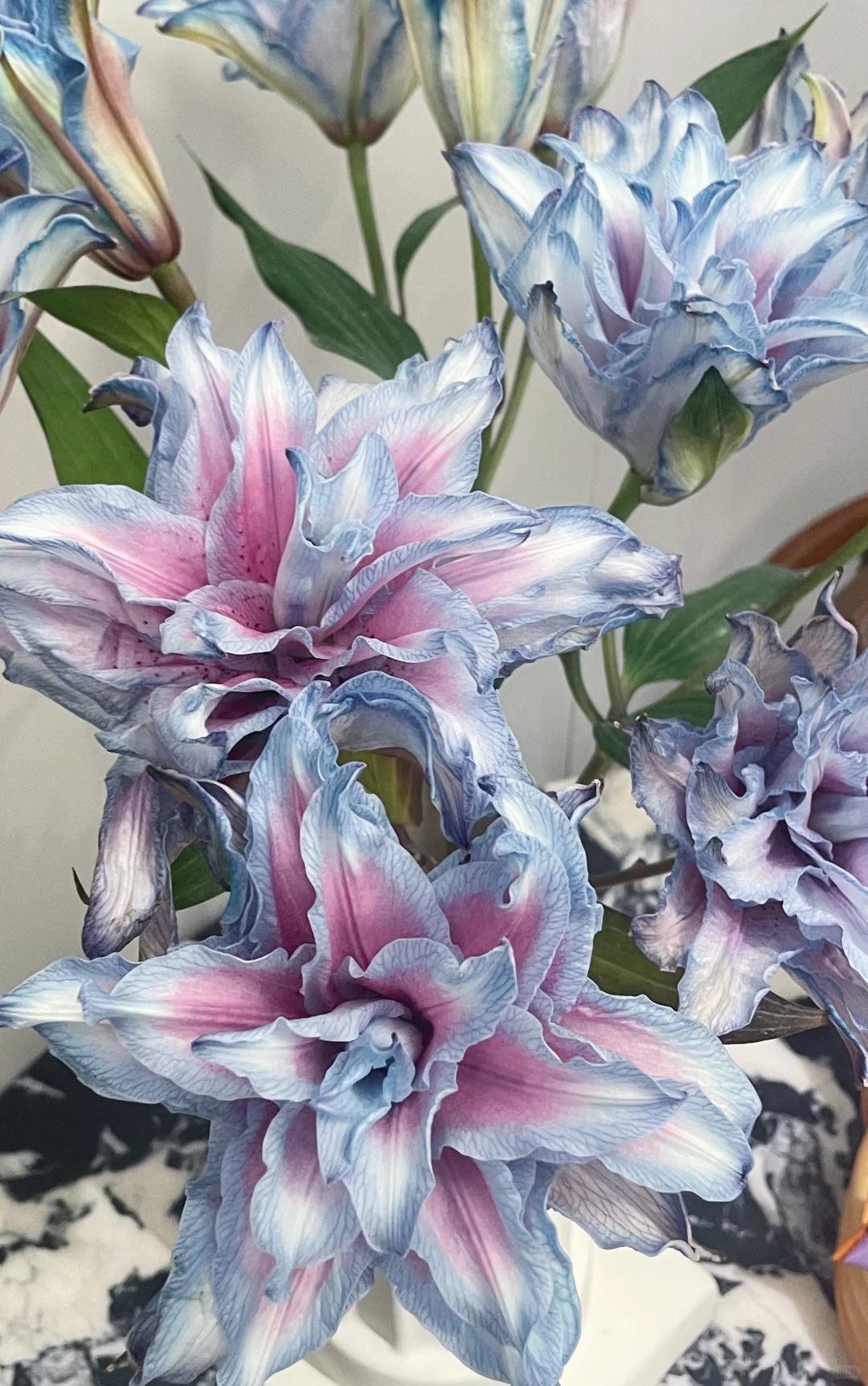 妖艳的百合花🟣