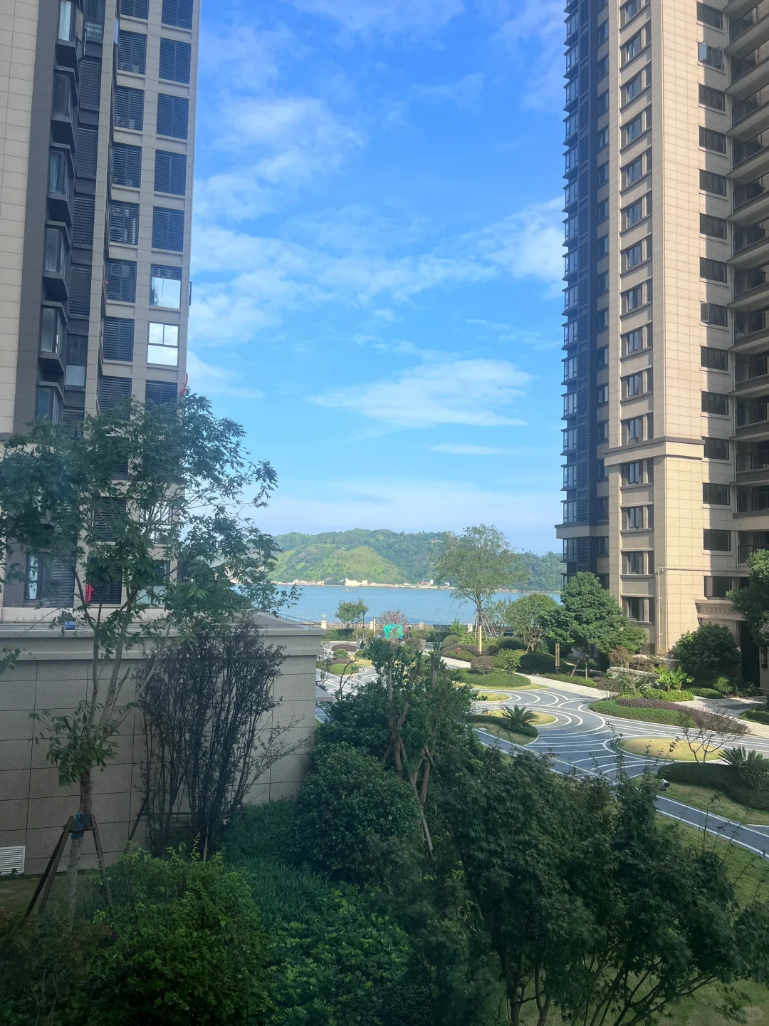 🏡买在2楼，🌲都长在我家窗户边了