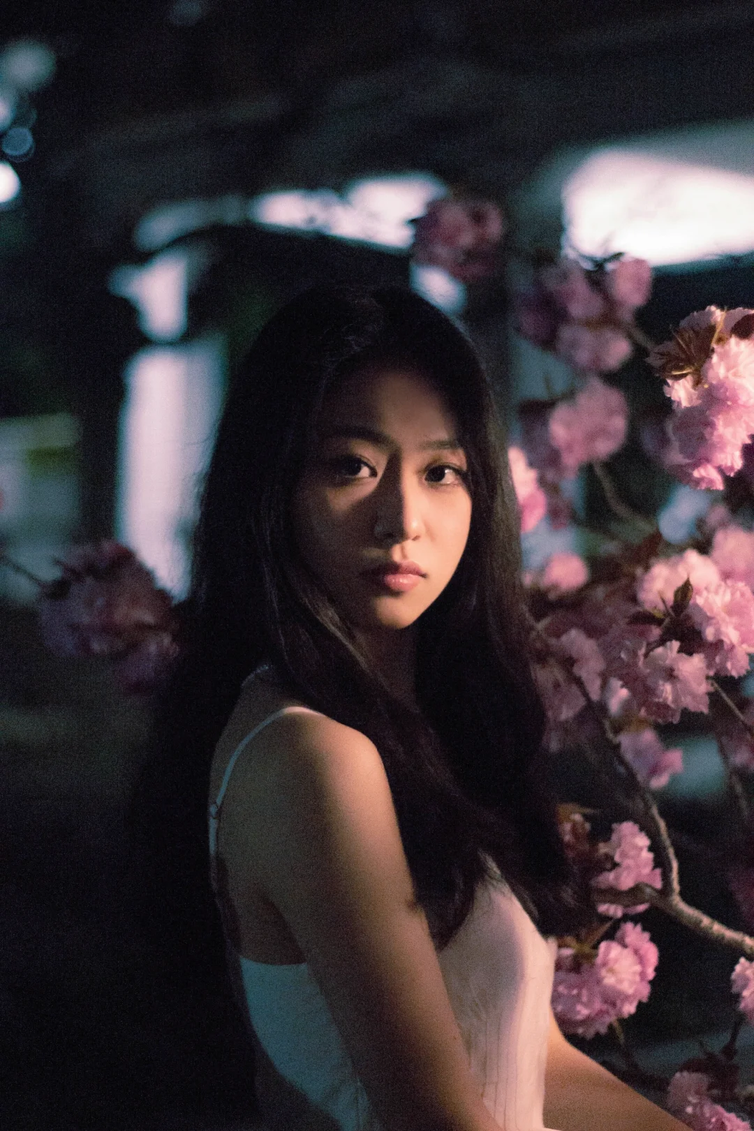 如花在野