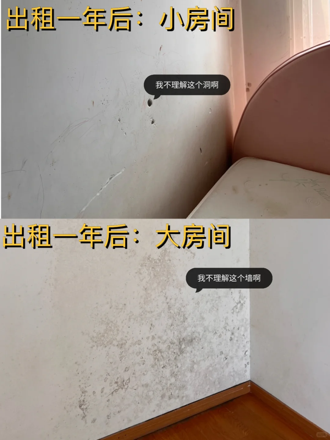 社会新闻照进现实📰新房出租一年被搬空😂