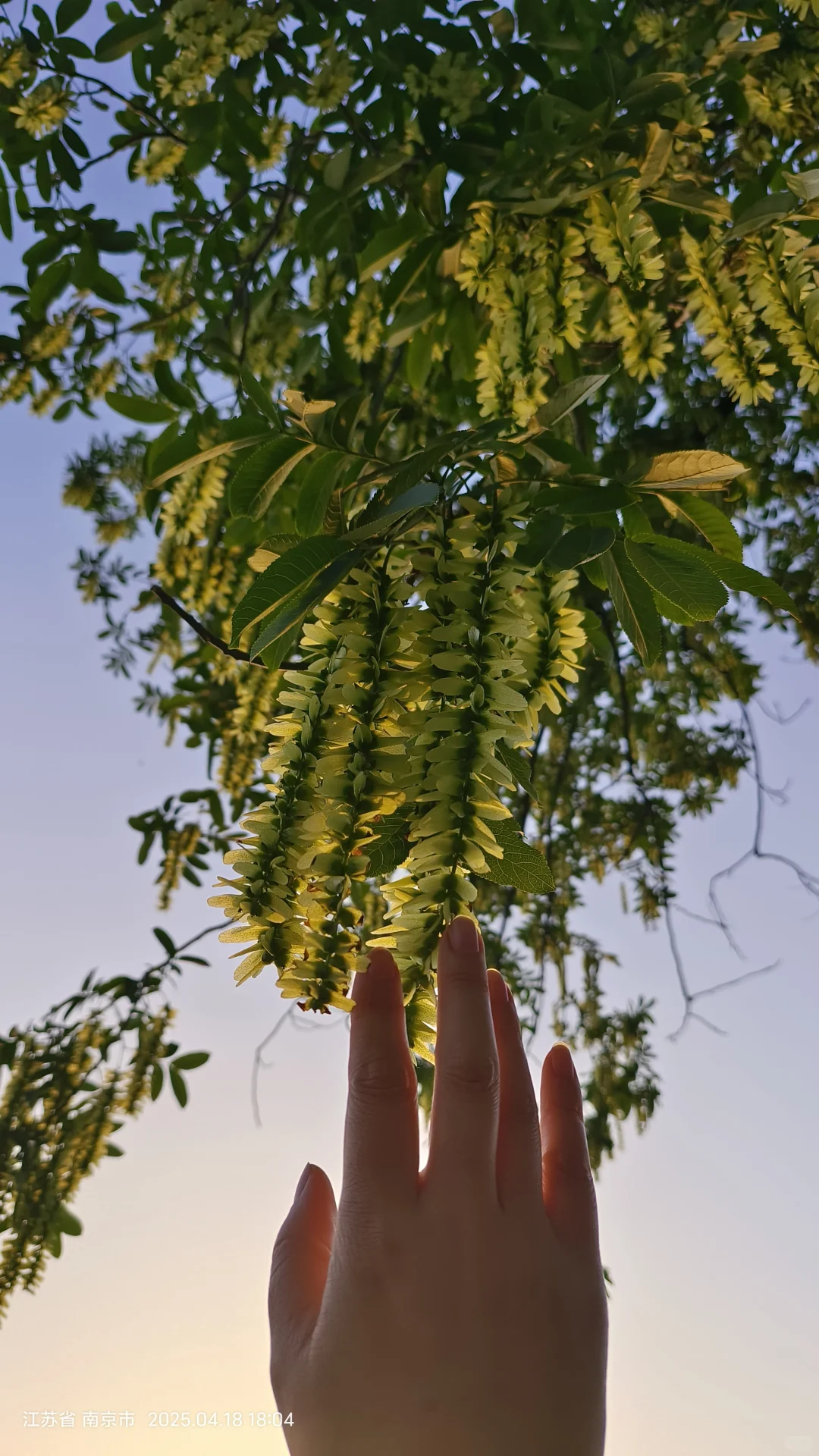 房子挂5个多月终于卖出。给卖房人点建议！