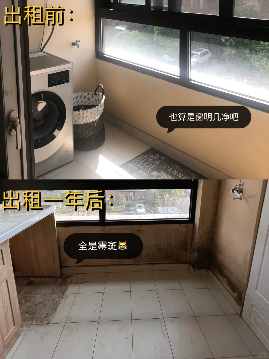 社会新闻照进现实📰新房出租一年被搬空😂