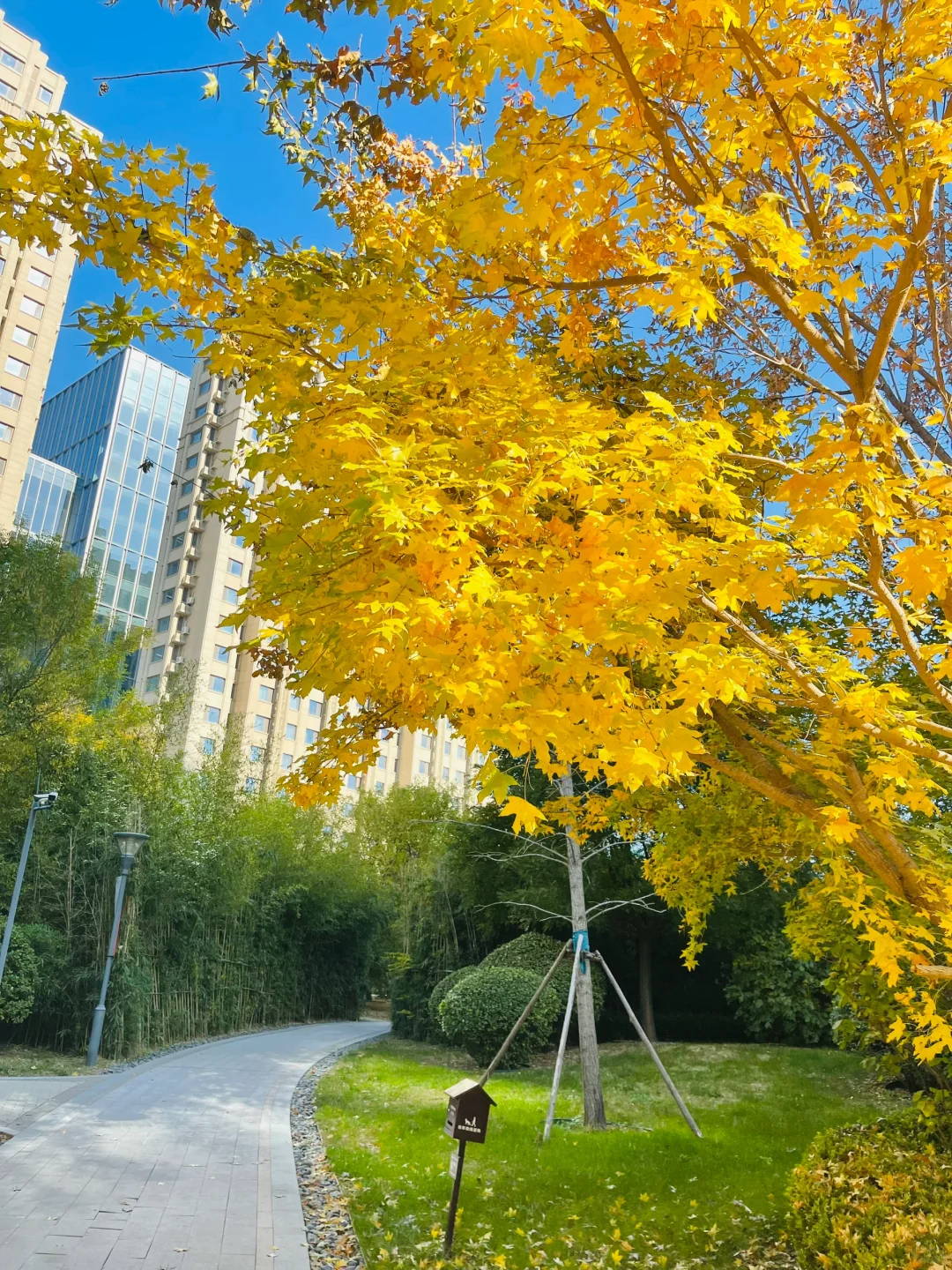 风景秀丽、宜人！