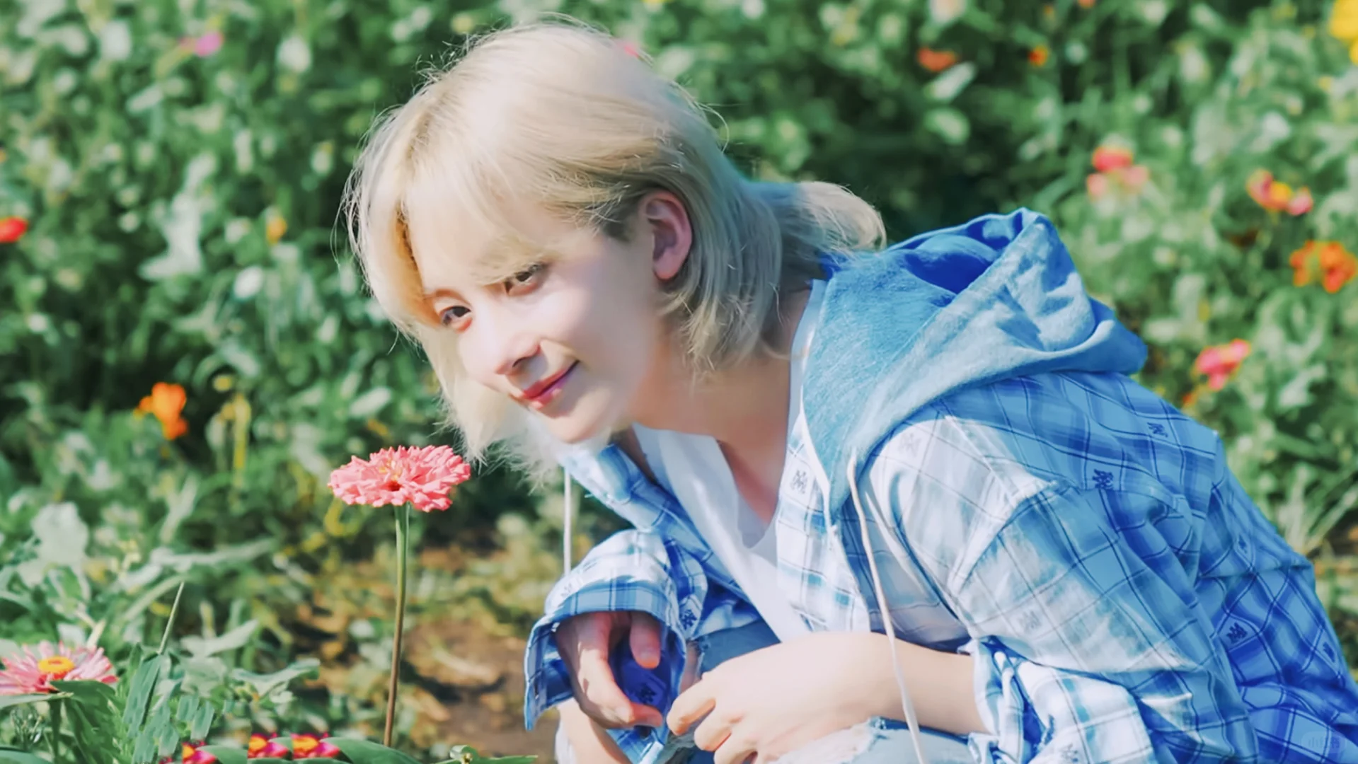 尹净汉 电脑壁纸