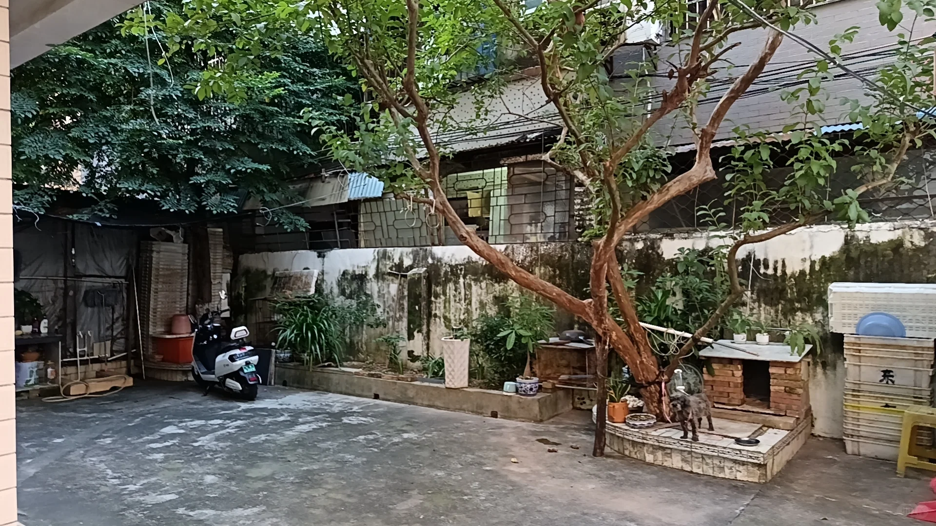 北海市区带花园自建房✨房东直售