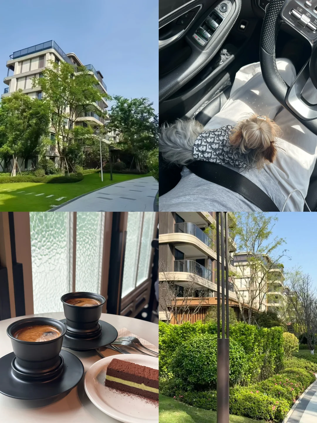 成都看房日记 大源南 小高层洋房有点心动
