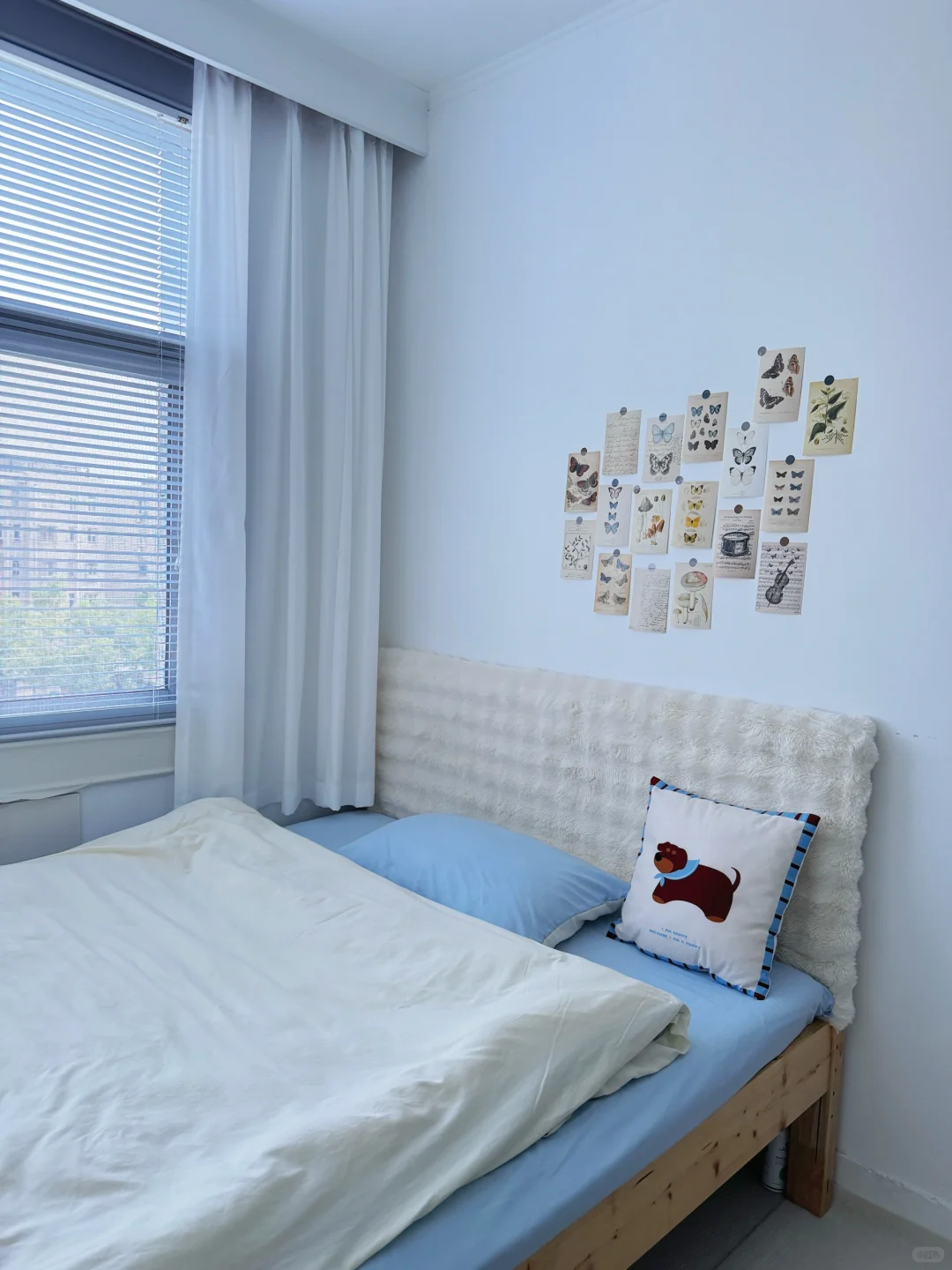 关于我800块租到的两室一厅🏠