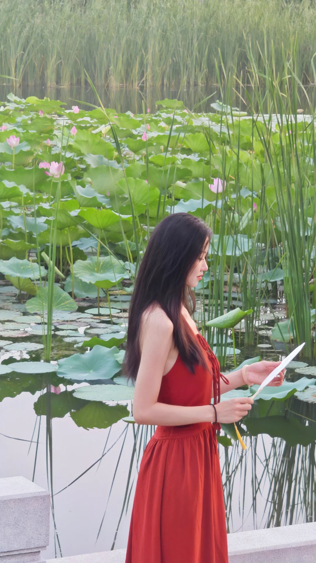 夏日一抹红