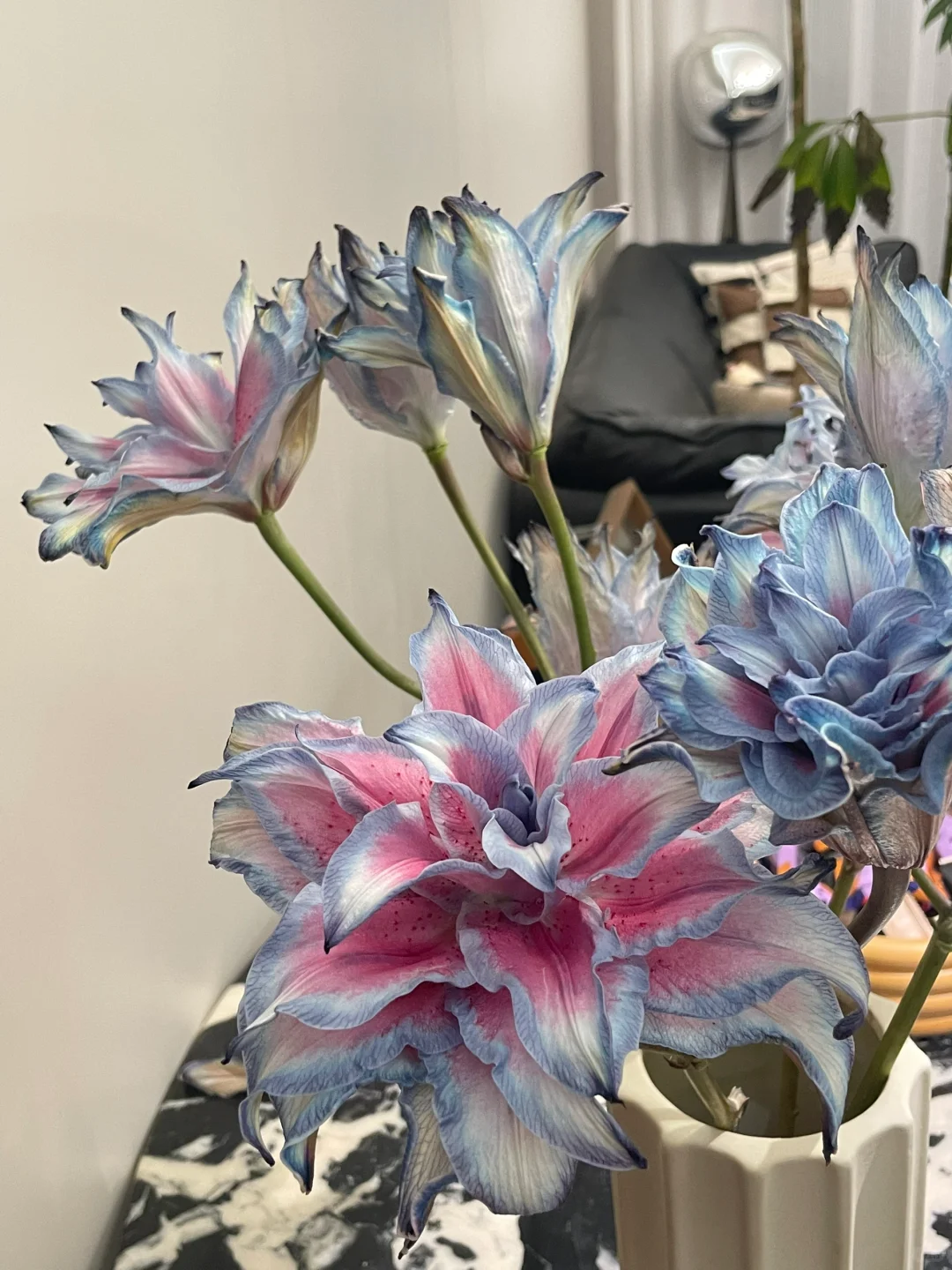 妖艳的百合花🟣