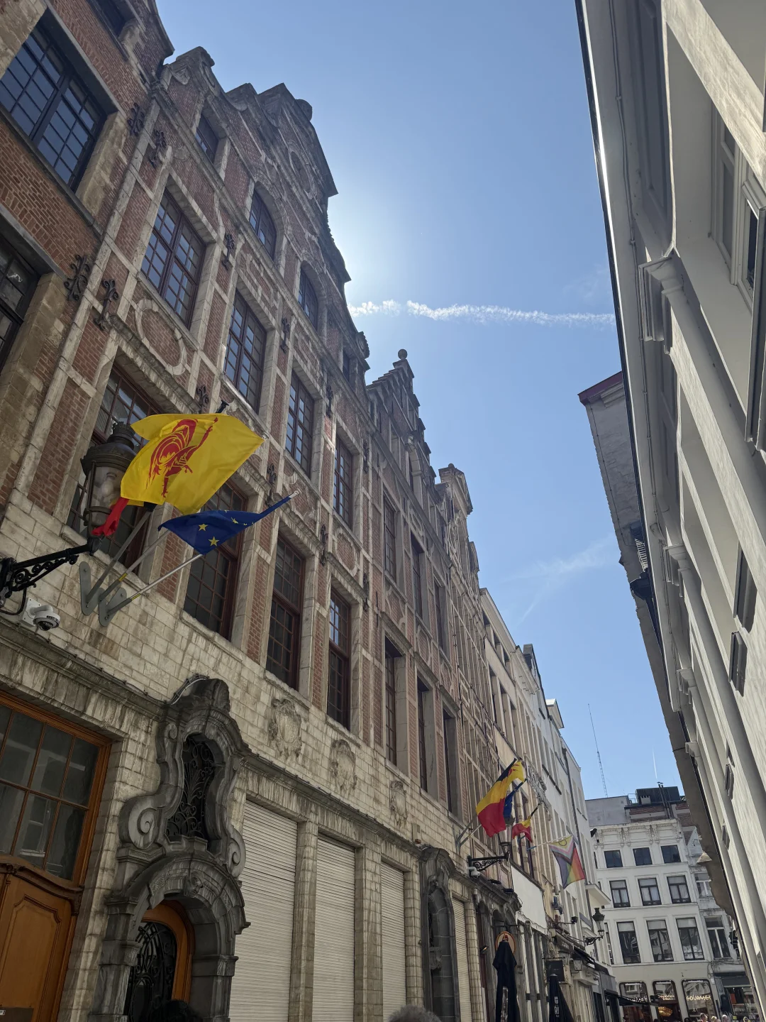 🇧🇪TMD中国尤物