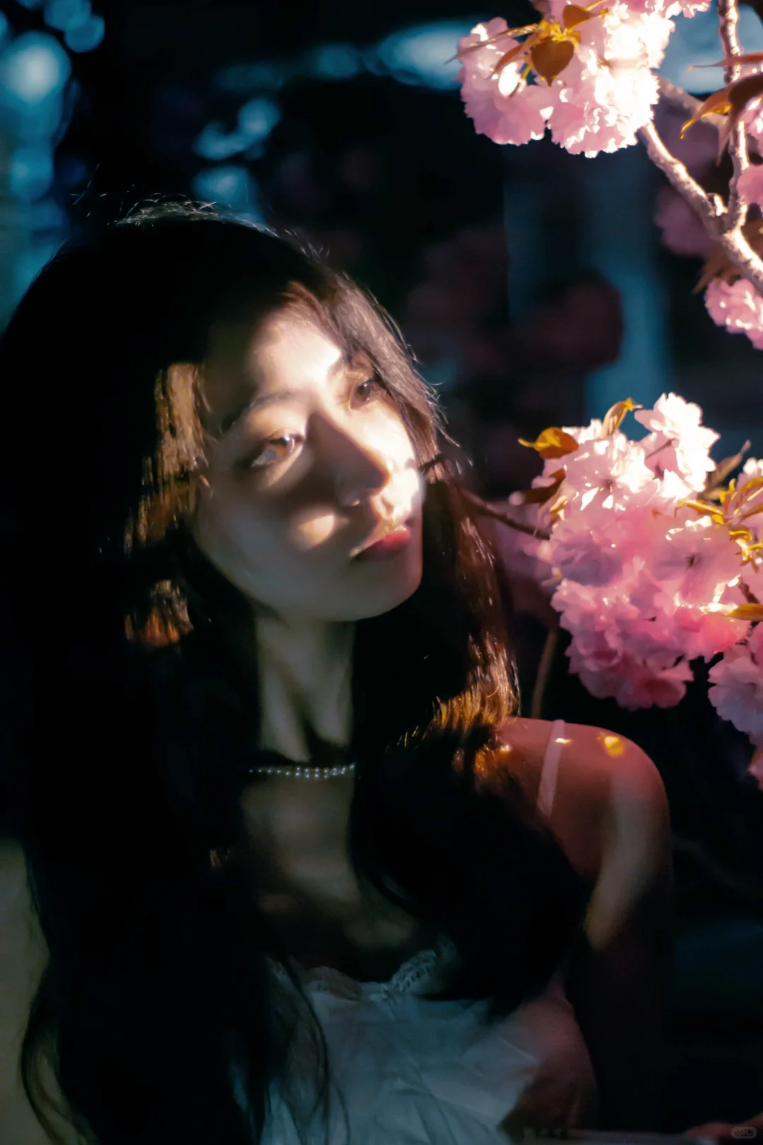 如花在野