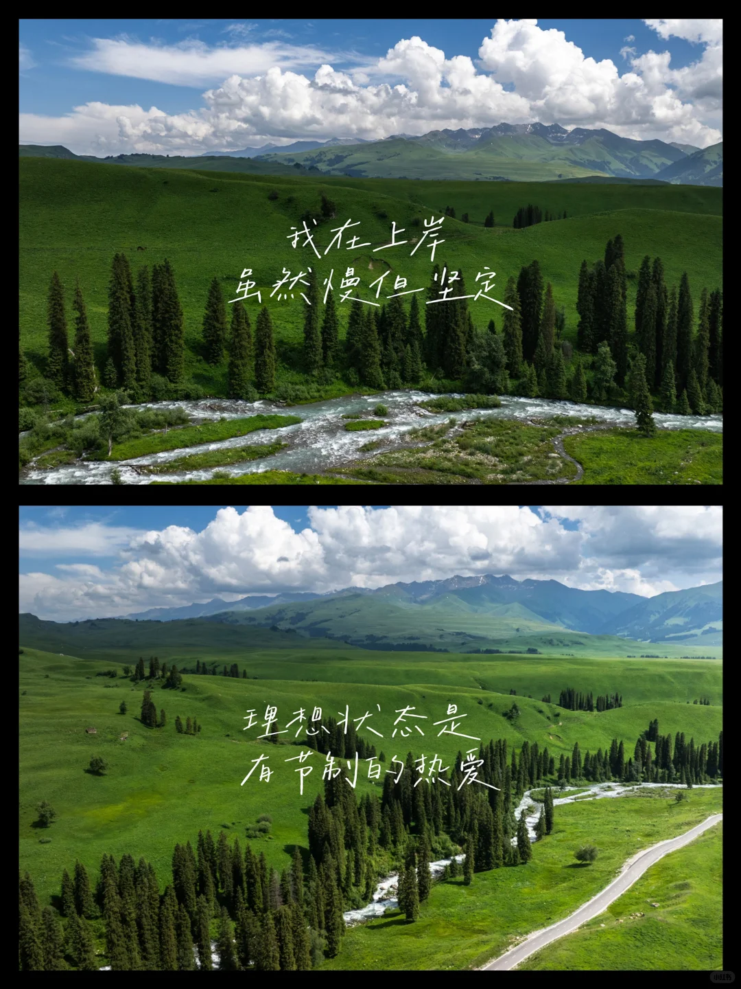 电脑壁纸｜每一幕都像是电影画面🌳