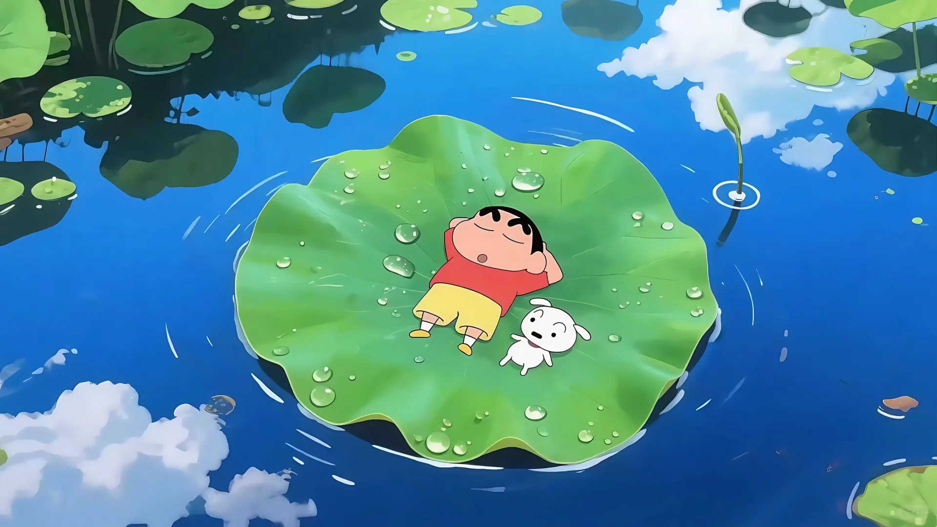 夏日主题
