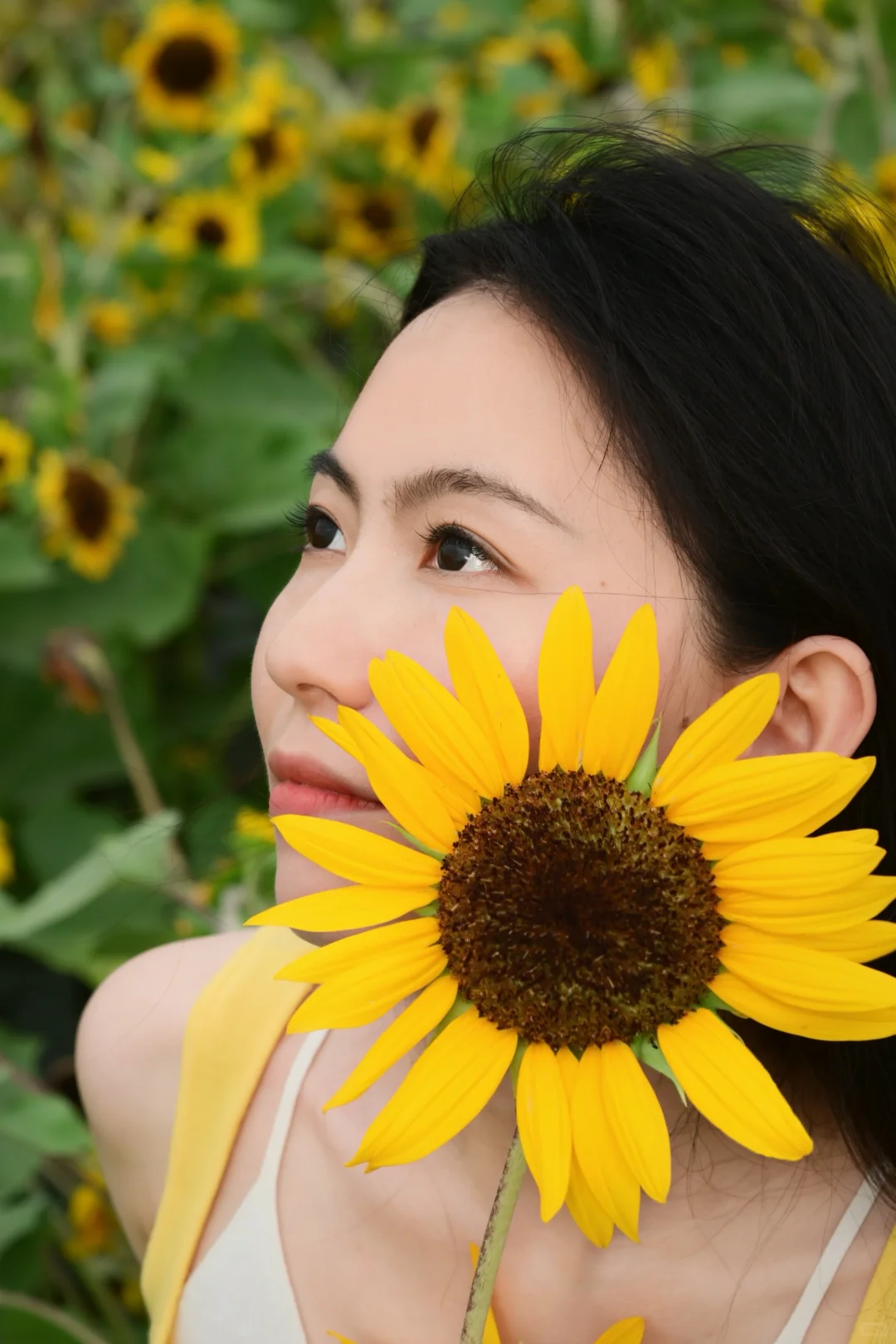 夏天是明艳动人的黄色🌻