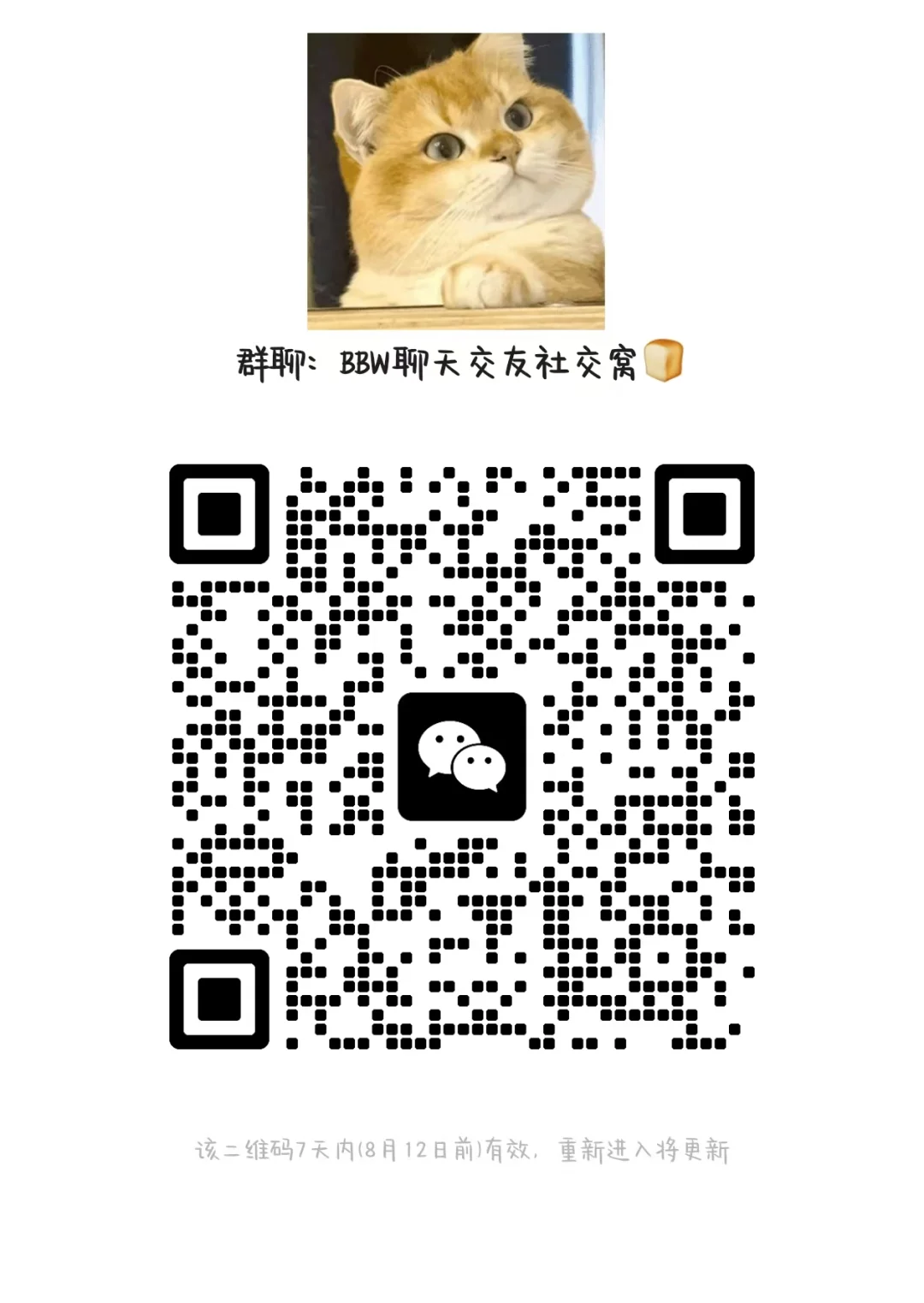 BBW 女孩是人间宝藏！✨