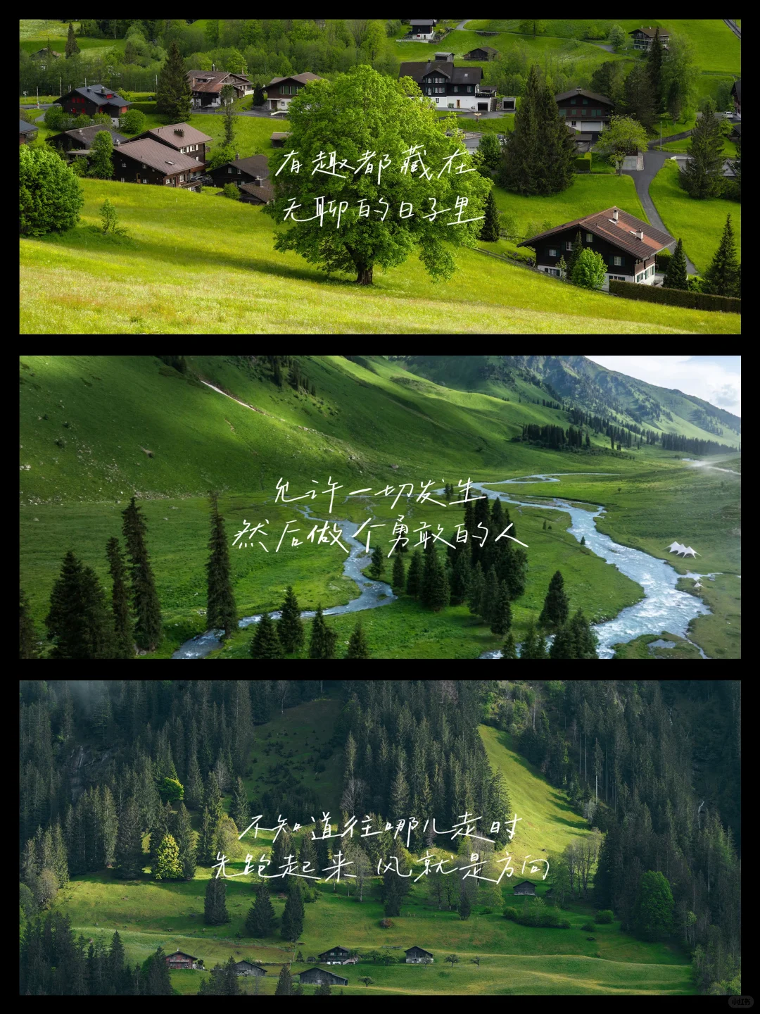 电脑壁纸｜每一幕都像是电影画面🌳