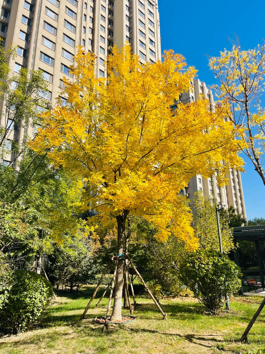 风景秀丽、宜人！