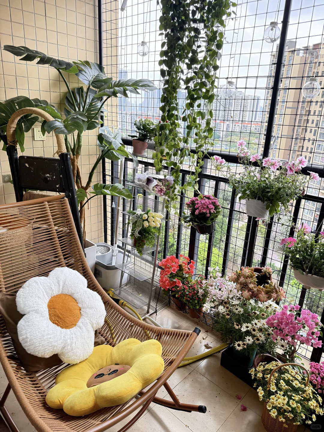我有病 一个人住为什么要租三室一厅