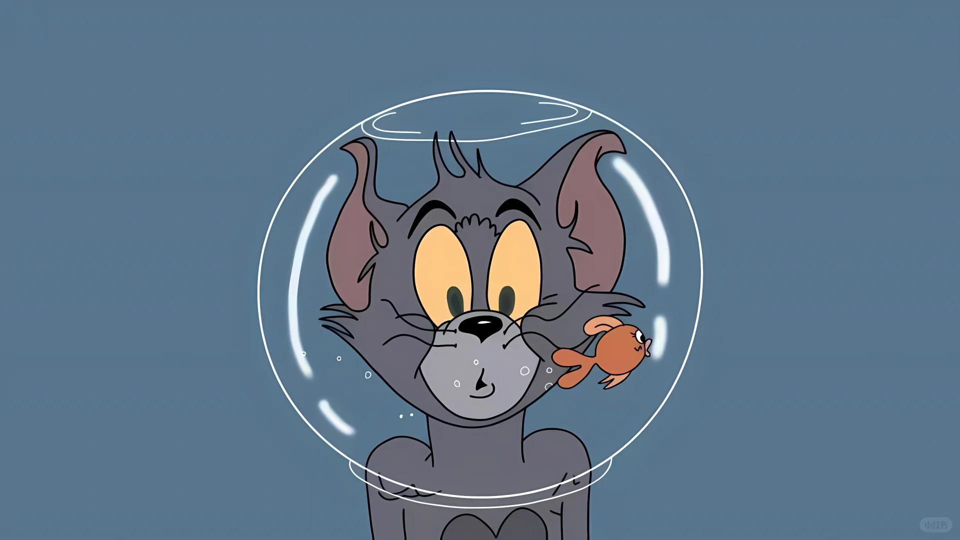 猫和老鼠系列iPad电脑壁纸推荐！！！
