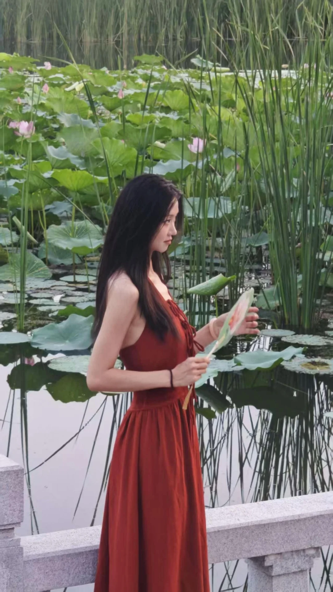 夏日一抹红