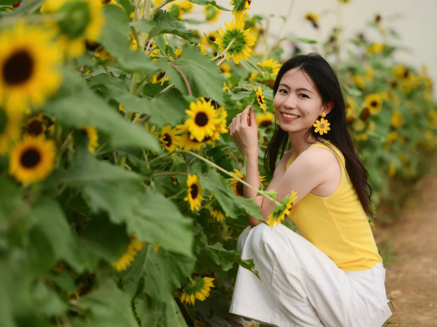 夏天是明艳动人的黄色🌻