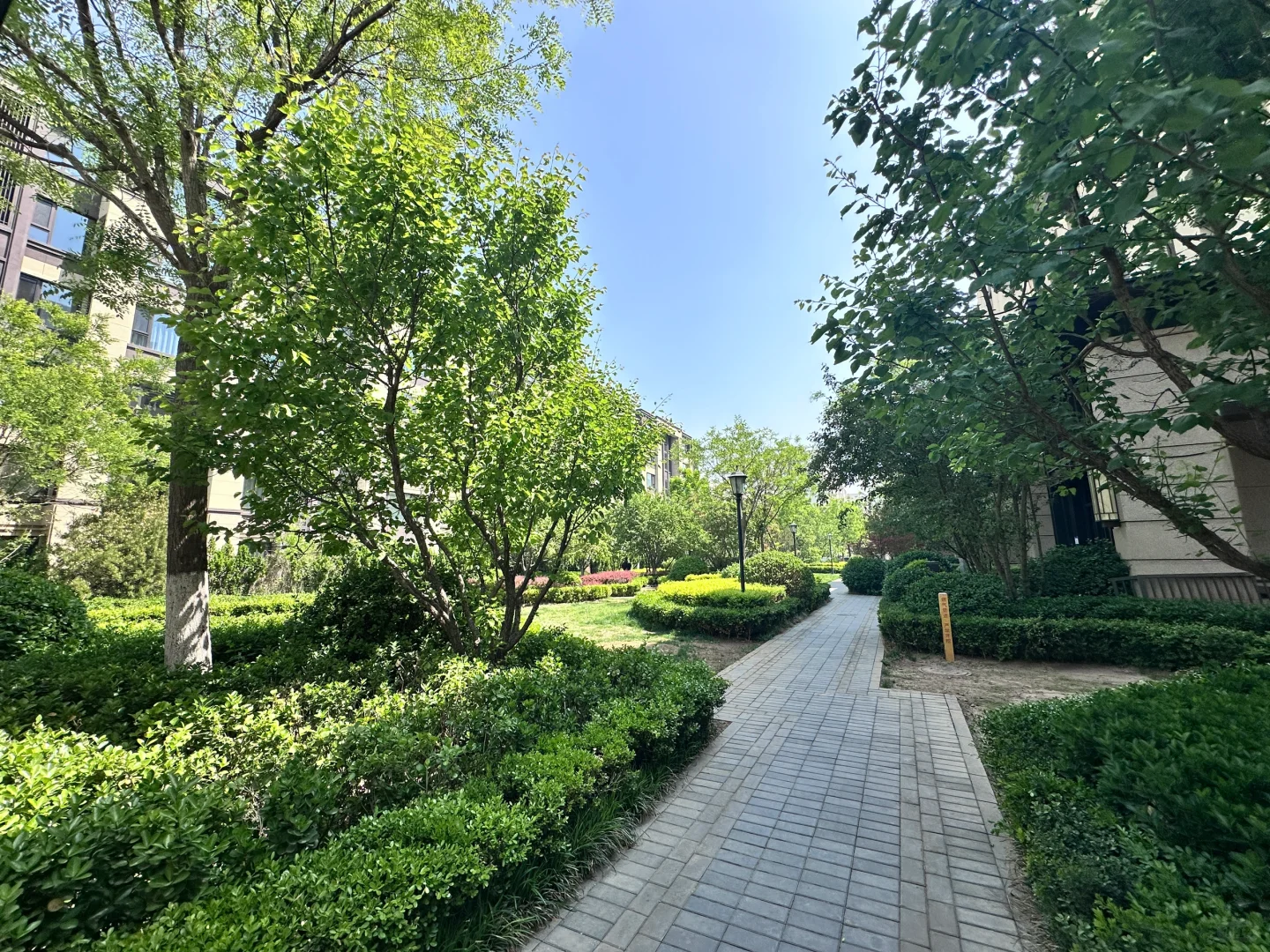 天津西青 130个楼下就是天然氧吧