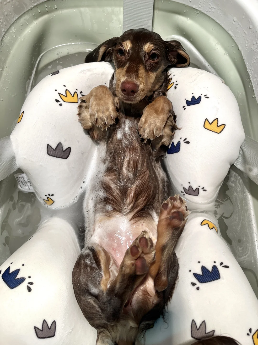 本公主沐浴照来也🛀